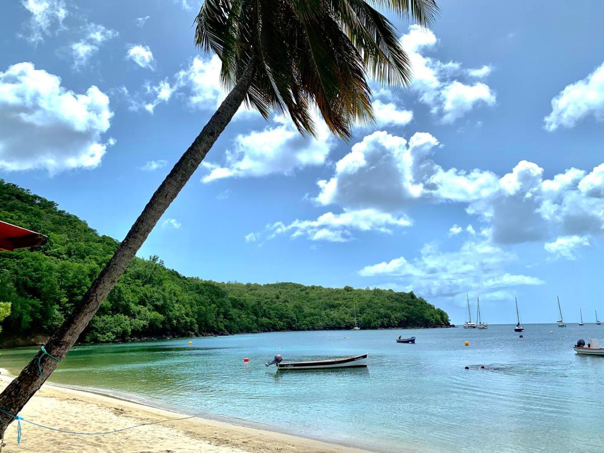 Chez Marie Andre Et Jeanne Daire Grande Anse Dış mekan fotoğraf